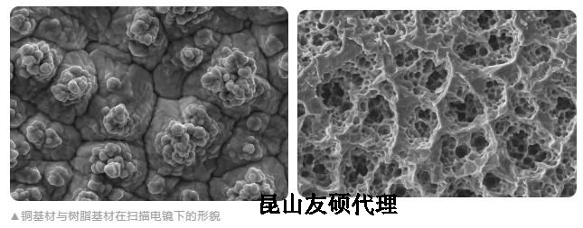 玉树蔡司玉树扫描电镜