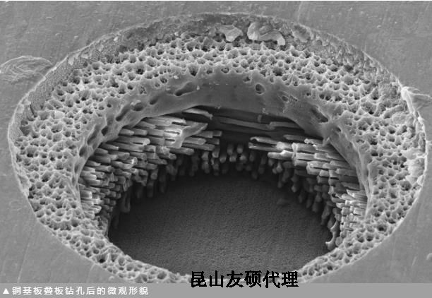 玉树蔡司玉树扫描电镜